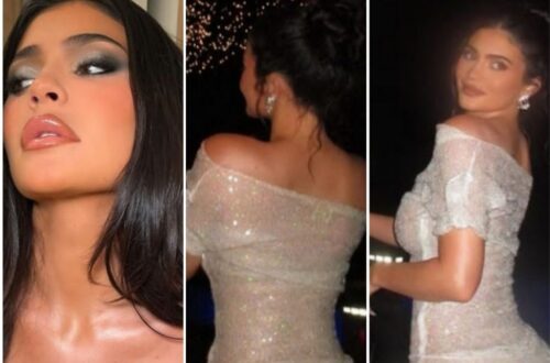 How kylie Jenner sheer dress Steals The show